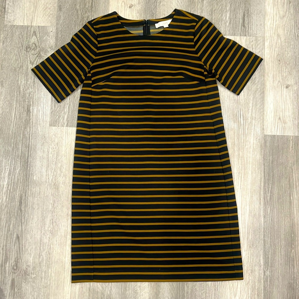 Ann Taylor Loft shift dress, EUC